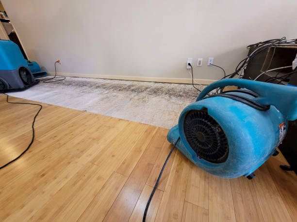 Professional Emergency Water Damage technician working in Hartford, KY